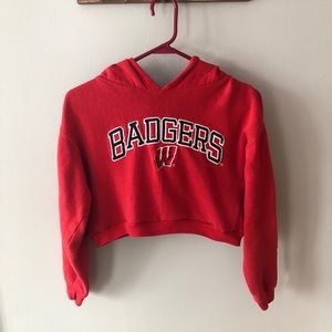 ✅Badger graphic hoodie crop top sweatshirt